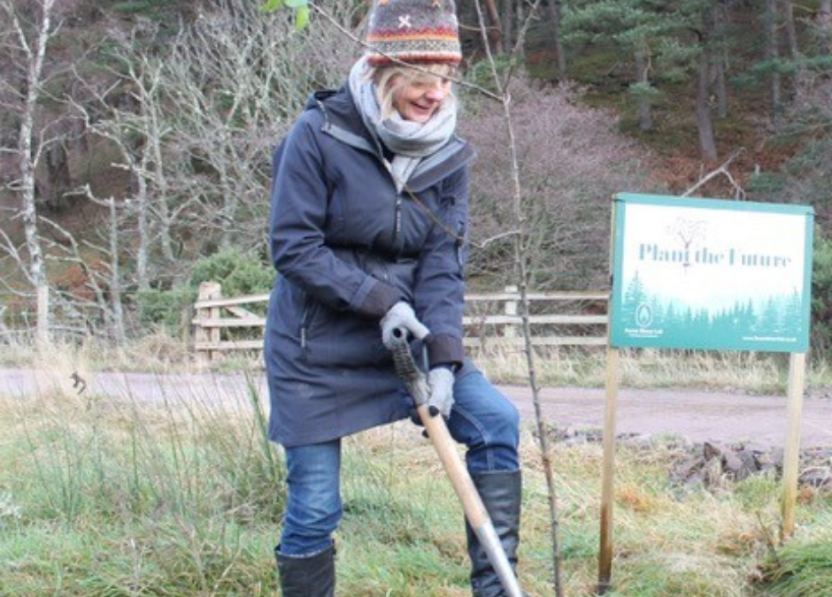 Forest Direct’s Traquair Estate Planting Scheme Shortlisted for RSPB Nature of Scotland Awards