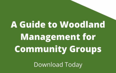 Forest Direct Publishes Forest Management Guide for Community Groups