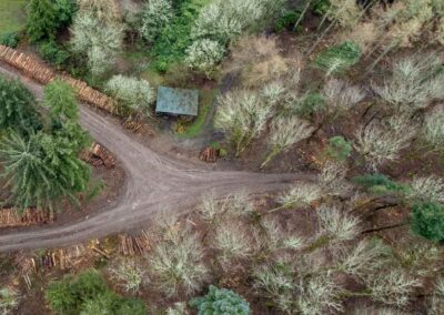 Aerial View of Forestry Harvesting Work Scottish Borders