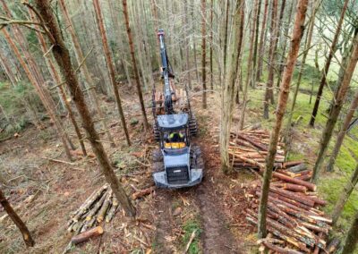 Timber Harvesting Vehicle in WoodlandScottish Borders